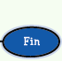 Fin